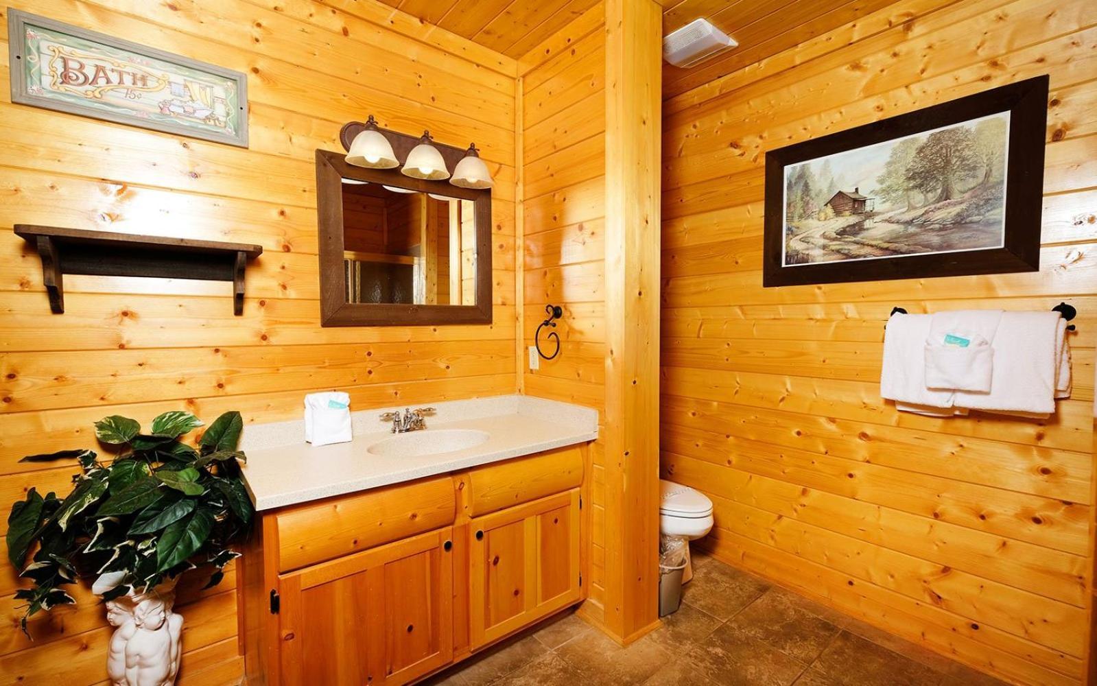 Star Gazer Villa Sevierville Ngoại thất bức ảnh